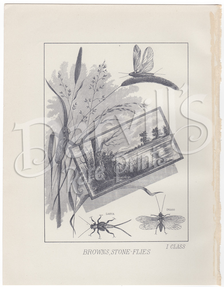 Orvis 1892 fishing flies
